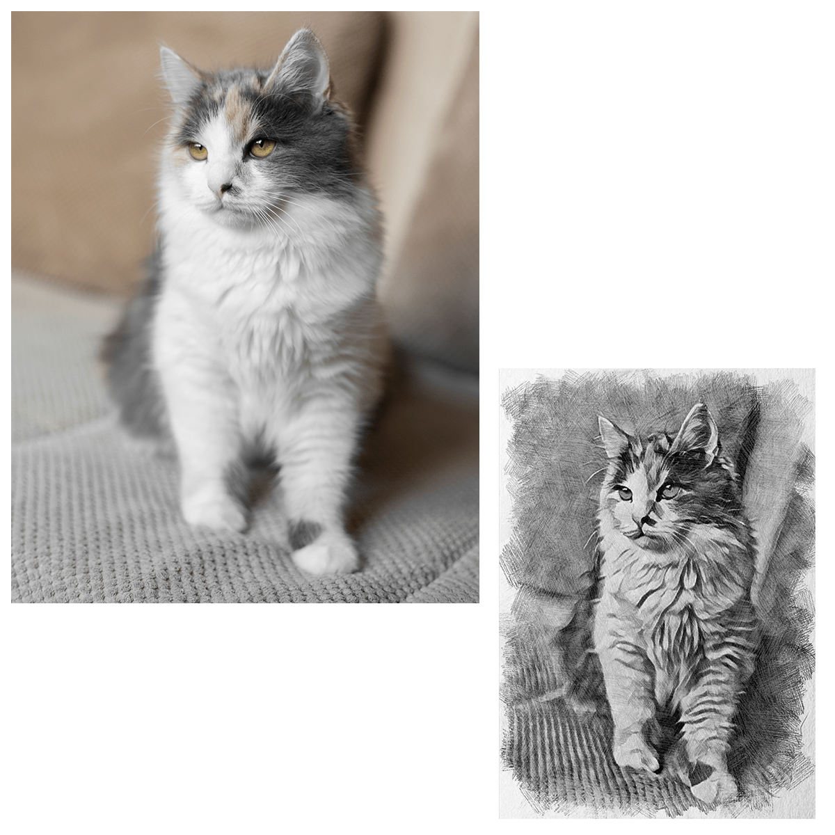 für Katzenliebhaber, Adamell.de